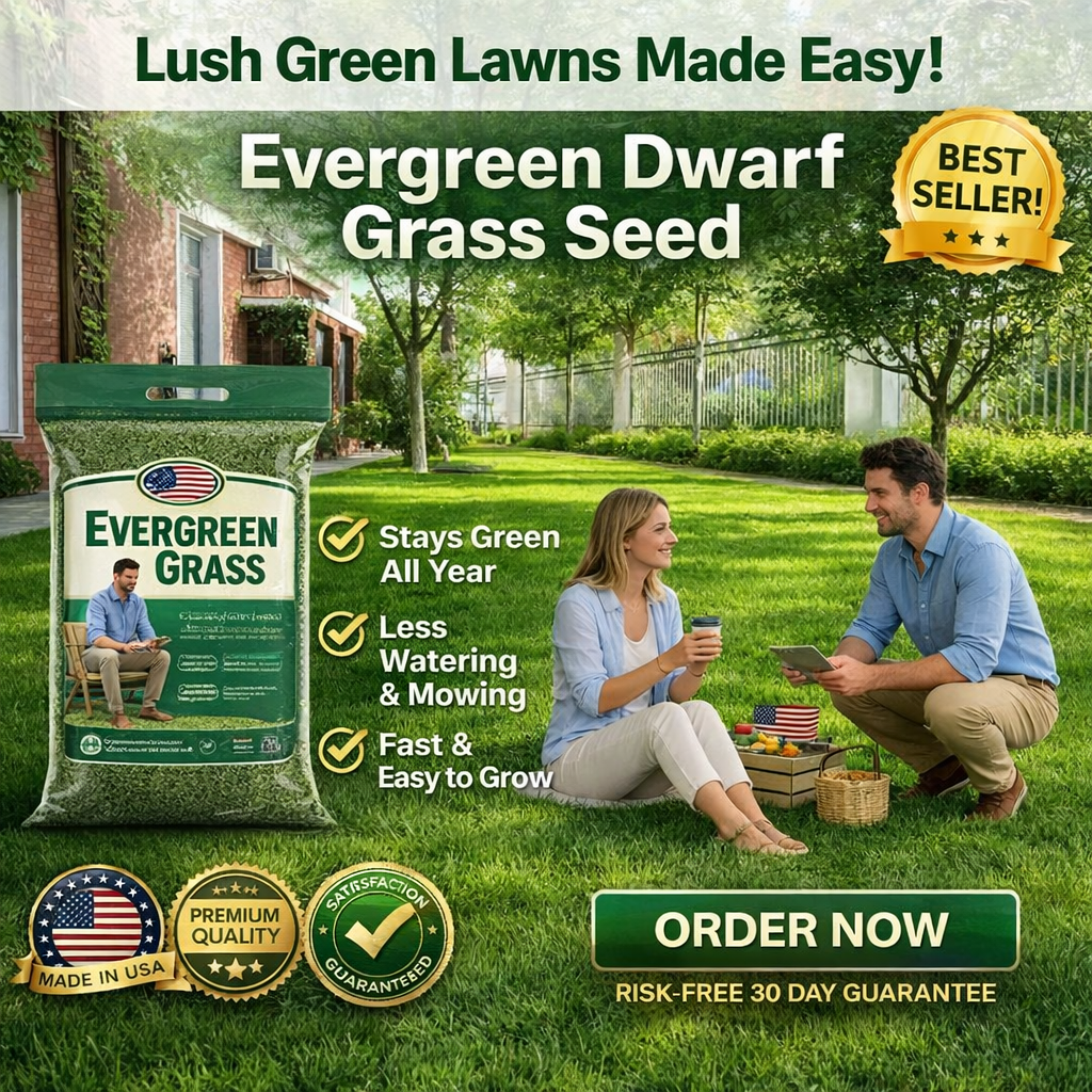 /69d9b4e8e8980d0008641819/2026/04/16/product-img-69e11e0f373c02bd69cc08af.png
